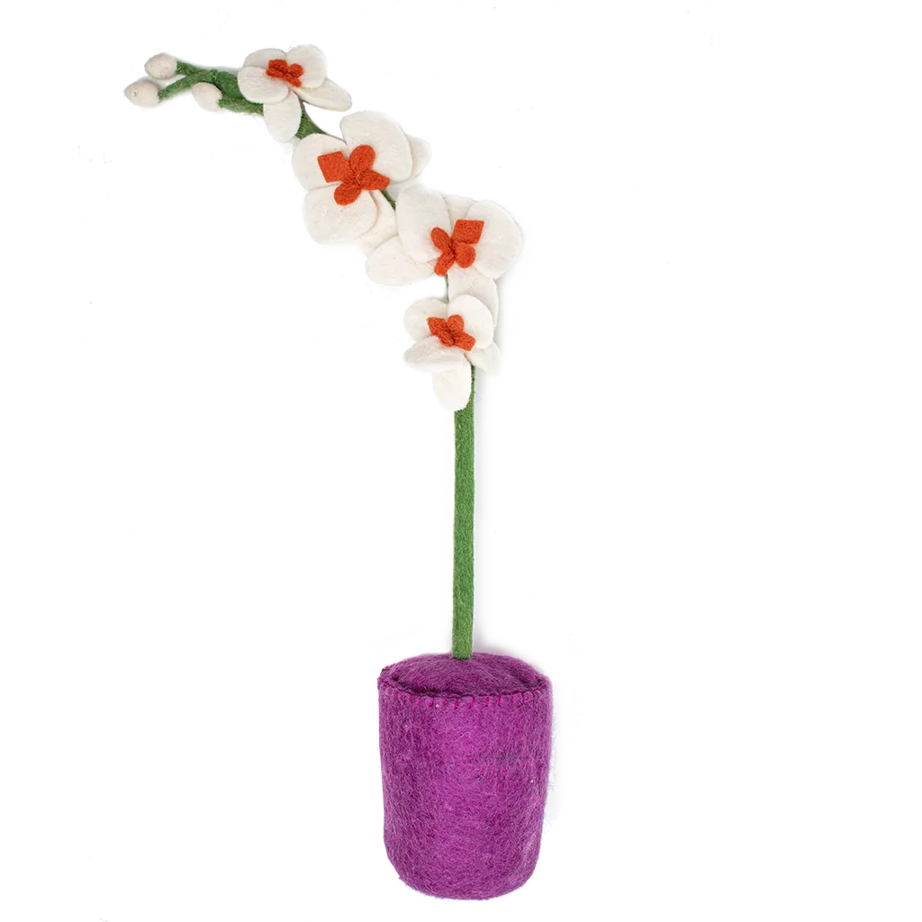 Felt Orchid Pot